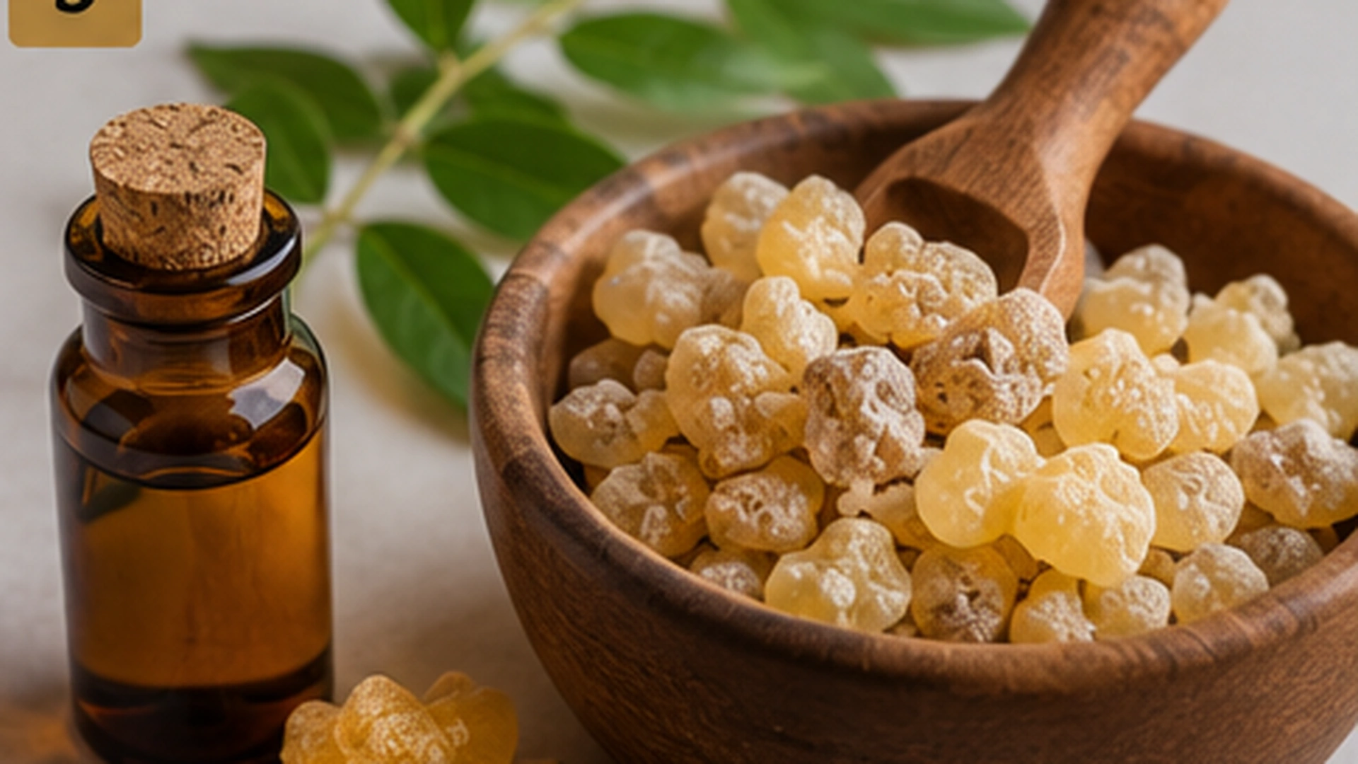 Boswellia Serrata Ayurveda Traditional Use